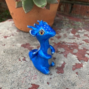 Blue baby dragon