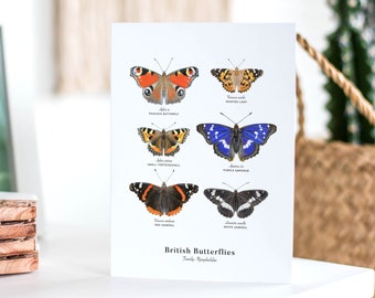 British Butterflies Greeting Card 5x7" | From an Original Watercolour Illustration