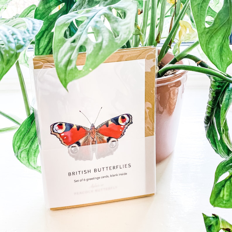 A6 Pack of 6 British Butterfly Greeting Cards