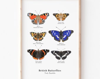 A3 British Butterflies Giclée Print