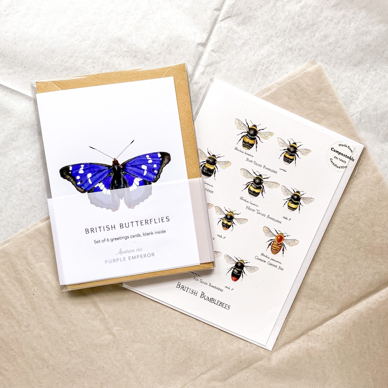 A6 Pack of 6 British Butterfly Greeting Cards