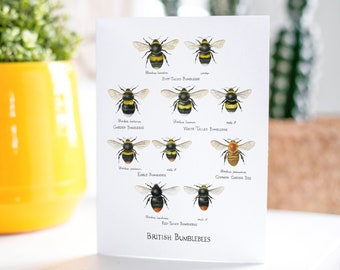 British Bumblebees Greeting Card 5x7" | From an Original Watercolour Illustration