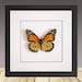 see more listings in the Framed Butterflies section