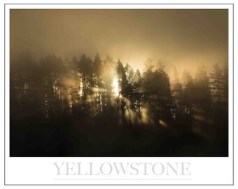 Limited Edition Sunbeams - Yellowstone NP -Signed