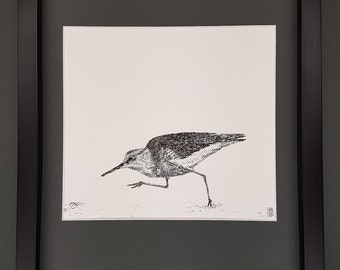 Inkdrawing, Art, Nature, Illustration, Bird, Beach