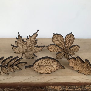 May include: Five wooden leaf cutouts in various shapes and sizes. The leaves are brown and have a wood grain texture. The leaves are arranged on a wooden surface.