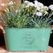 see more listings in the Planters section