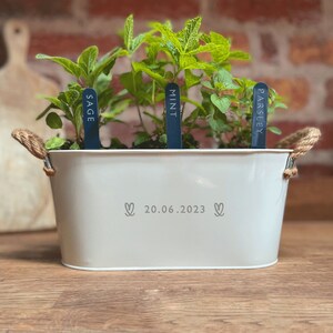 Peut inclure: Planteur en métal blanc avec des poignées en corde, contenant une variété d'herbes. Le planteur est étiqueté avec la date "20.06.2023" et les noms des herbes : "Sage", "Menthe" et "Persil".