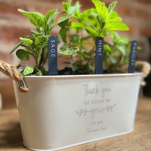 Plant Markers | Seed Markers | Herb Garden | Perspex