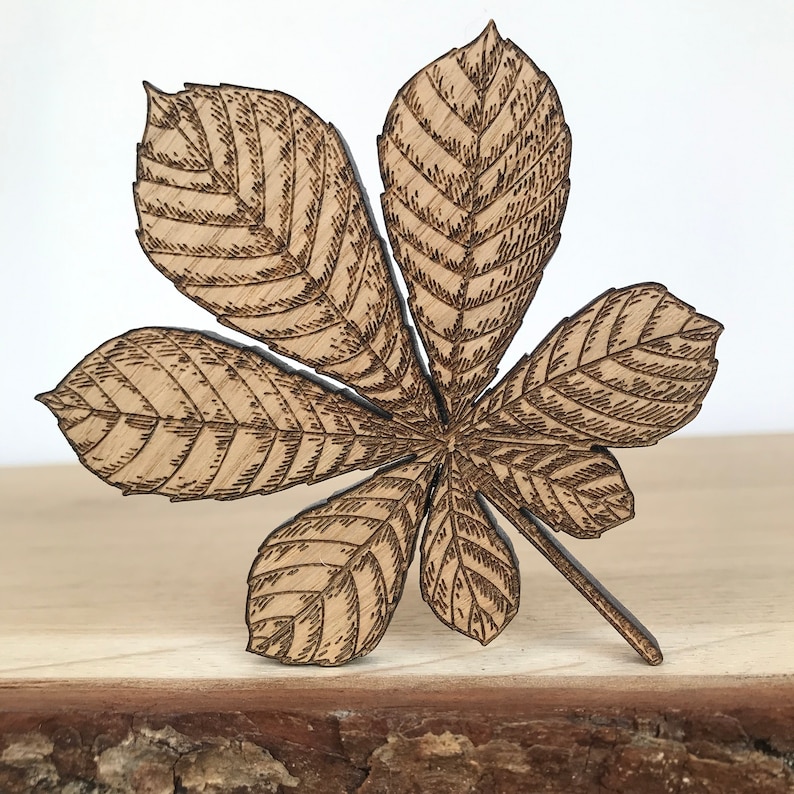 Autumn Leaf Collection Set of 5 or Individual Leaves Flatlay Autumn Fall / Rustic / Wood Decor Horse Chestnut Leaf