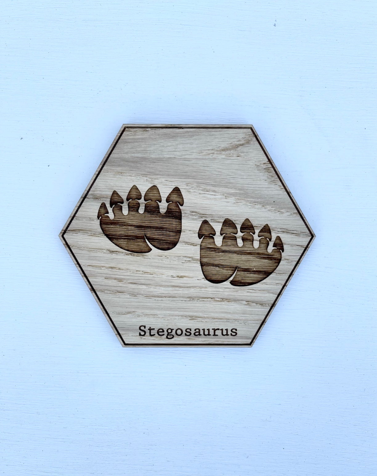 Dinosaur Footprint Wall Decor Fossil Wooden Art / Plaque Etsy