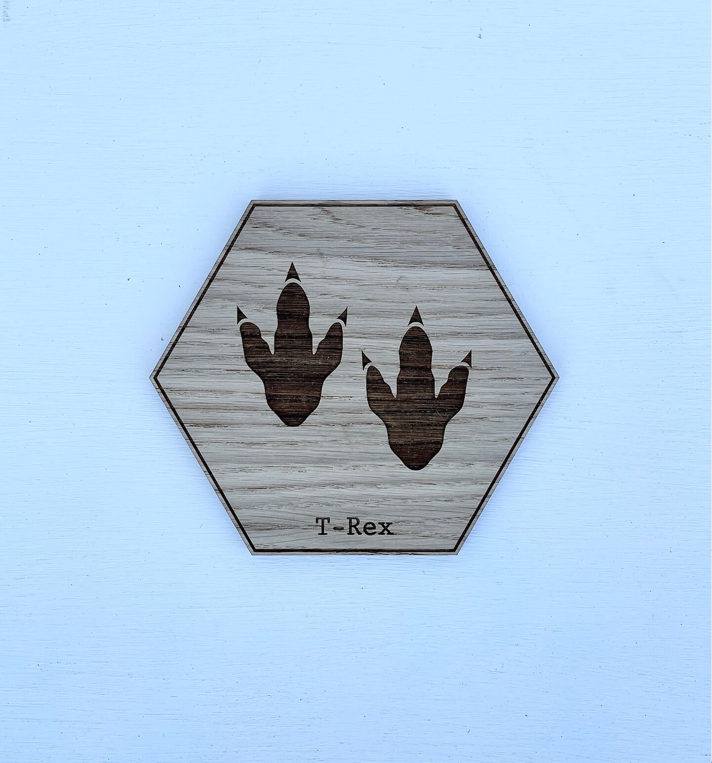 Dinosaur Footprint Wall Decor Fossil Wooden Art / Plaque Etsy UK