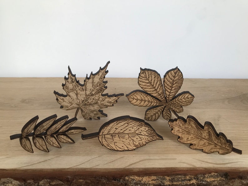 Autumn Leaf Collection Set of 5 or Individual Leaves Flatlay Autumn Fall / Rustic / Wood Decor Full set of 5 leaves