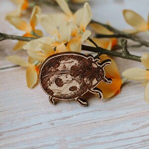 Spring Insects Collection Set of 5 6mm Thick Art Bedroom Nursery Decoration Kids Baby Room Wall Door Home Flatlay Prop image 5