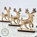 Christmas Personalised Reindeer decorations Stag Place Names 