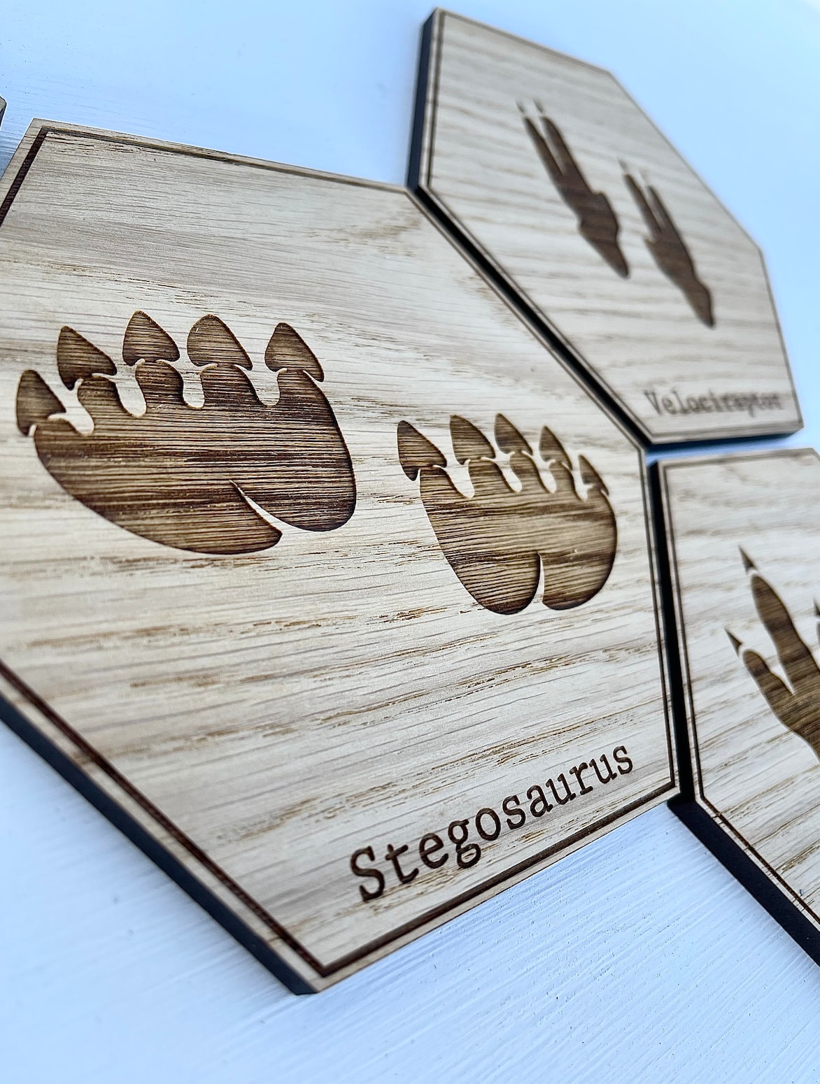 Dinosaur Footprint Wall Decor Fossil Wooden Art / Plaque Etsy