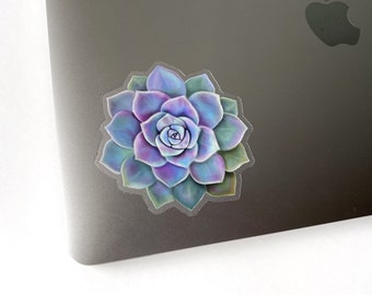 Purple Succulent Sticker - Clear Vinyl Sticker - Waterbottle Sticker - Laptop Sticker - Sticker - Succulent Sticker - GraceandGloriaCo