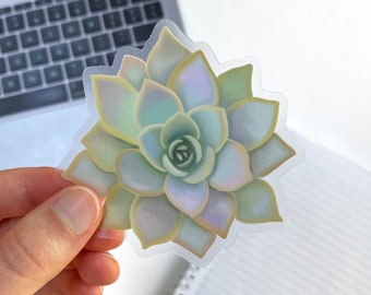 Succulent Sticker - Clear Vinyl Sticker - Waterbottle Sticker - Laptop Sticker - Clear Sticker - Plant Sticker - Sticker -GraceandGloriaCo