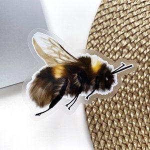 Bee Sticker - Bumble Bee Sticker - Clear Bee Sticker - Sticker - Laptop Sticker - Water Bottle Sticker - Bee Lover - Vinyl- GraceandGloriaCo