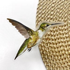 Sticker colibri - Sticker vinyle - Sticker vinyle transparent - Sticker oiseau - Sticker bouteille d'eau - Sticker pour ordinateur portable - GraceandGloriaCo