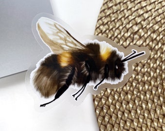 Bee Sticker - Bumble Bee Sticker - Clear Bee Sticker - Sticker - Laptop Sticker - Water Bottle Sticker - Bee Lover - Vinyl- GraceandGloriaCo