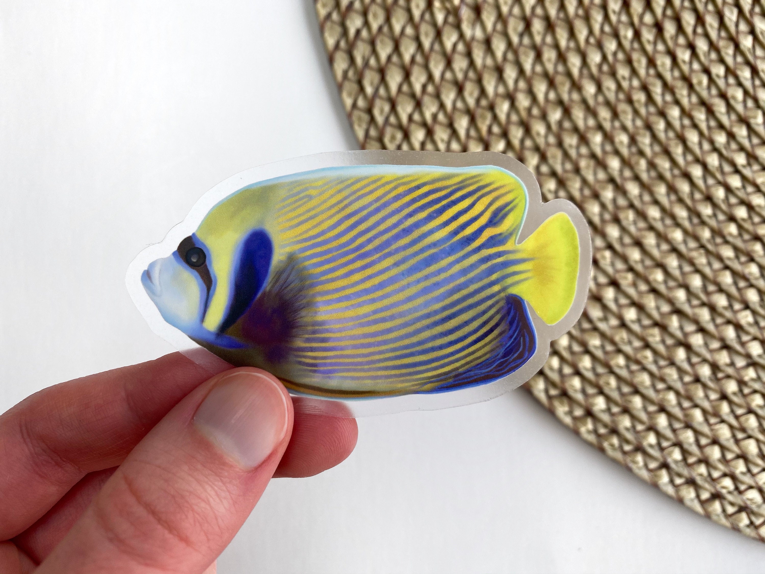 Tropical Fish Sticker - Fish Sticker - Fish Vinyl Sticker - Clear Sticker - Laptop Sticker - Waterbottle Sticker - Sticker -GraceandGloriaCo