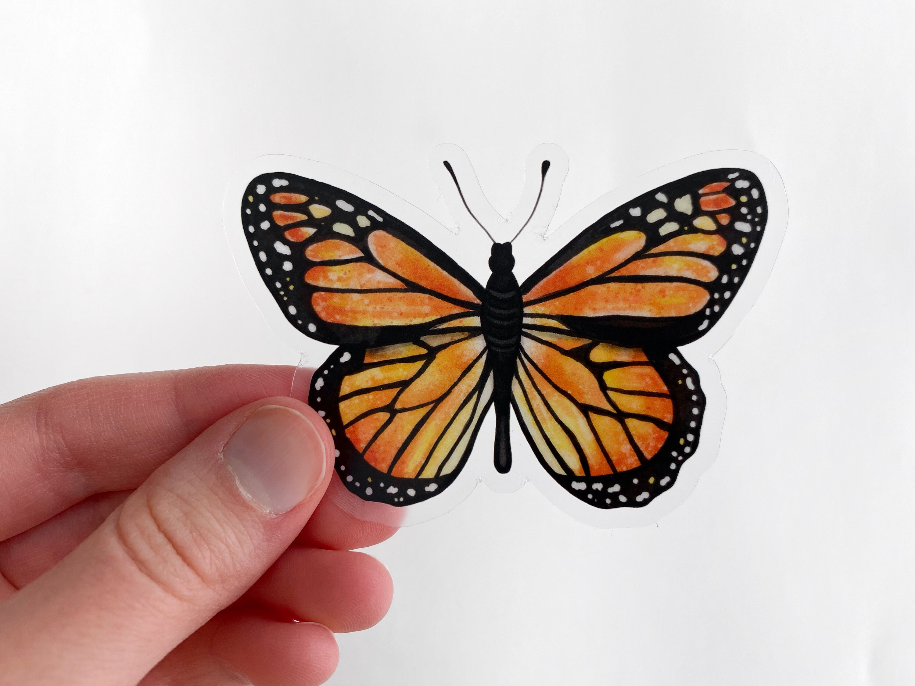 Monarch Butterfly Sticker - Butterfly Sticker - Vinyl Sticker - Clear ...
