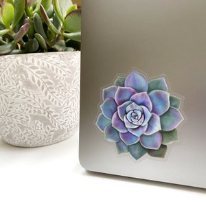 May include: A colorful succulent sticker with a gradient of purple, blue, and green hues. The sticker is affixed to a silver laptop, with a potted plant in the background. The succulent design is detailed and realistic.