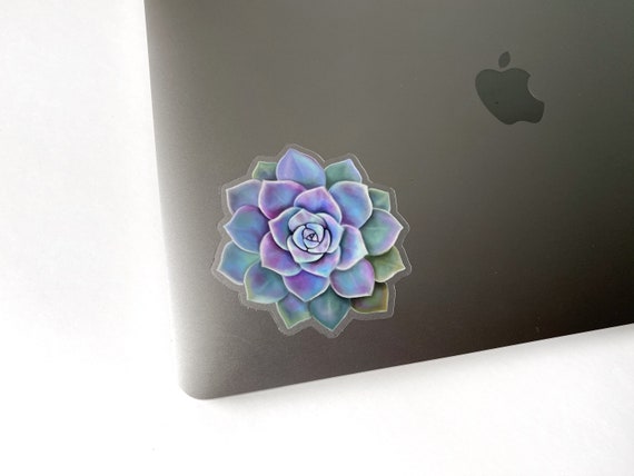 Purple Succulent Sticker - Clear Vinyl Sticker - Waterbottle Sticker - Laptop Sticker - Sticker - Succulent Sticker - GraceandGloriaCo