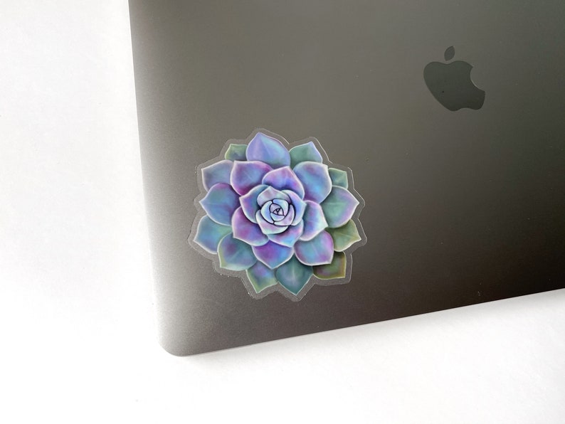May include: A colorful sticker featuring a detailed illustration of a succulent plant. The succulent has layered petals in shades of blue, purple, and green. The sticker is placed on a gray laptop surface.