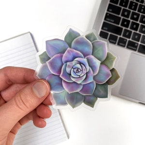 May include: A colorful sticker featuring a detailed illustration of a succulent plant. The sticker showcases a vibrant array of colors, including shades of purple, green, and blue. The plant's petals are intricately designed, creating a realistic and eye-catching image.
