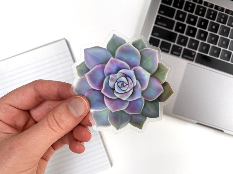 May include: A colorful sticker featuring a detailed illustration of a succulent plant. The sticker showcases a vibrant array of colors, including shades of purple, green, and blue. The plant's petals are intricately designed, creating a realistic and eye-catching image.
