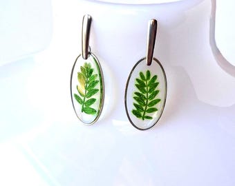 Pode incluir: Brincos ovais com moldura prateada. Cada brinco apresenta uma folha de feto verde prensada, encapsulada em resina transparente. São exibidos em um manequim branco, destacando seu design e detalhes.