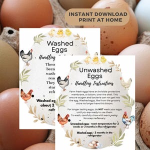May include: A digital print featuring two cards with egg handling instructions, surrounded by brown and white eggs. The cards have illustrations of chickens and chicks, with text about washing and storing eggs.
