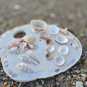 Sea swirls paint palette