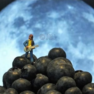 May include: A miniature figurine of a person playing a guitar on top of a pile of blueberries, with a large blue moon in the background.