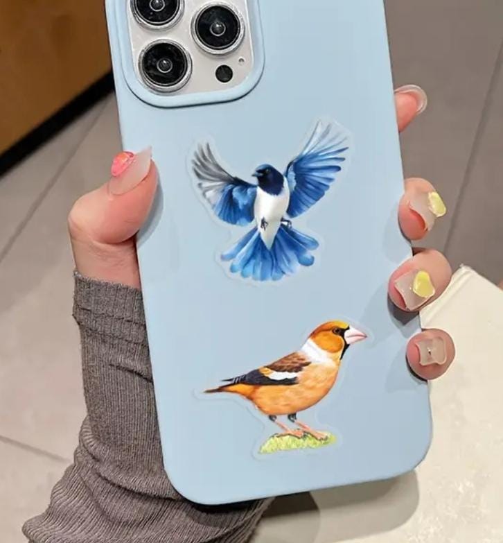 Transparent Bird Stickers, Waterproof UV Resistant, 5 Piece Set - Etsy