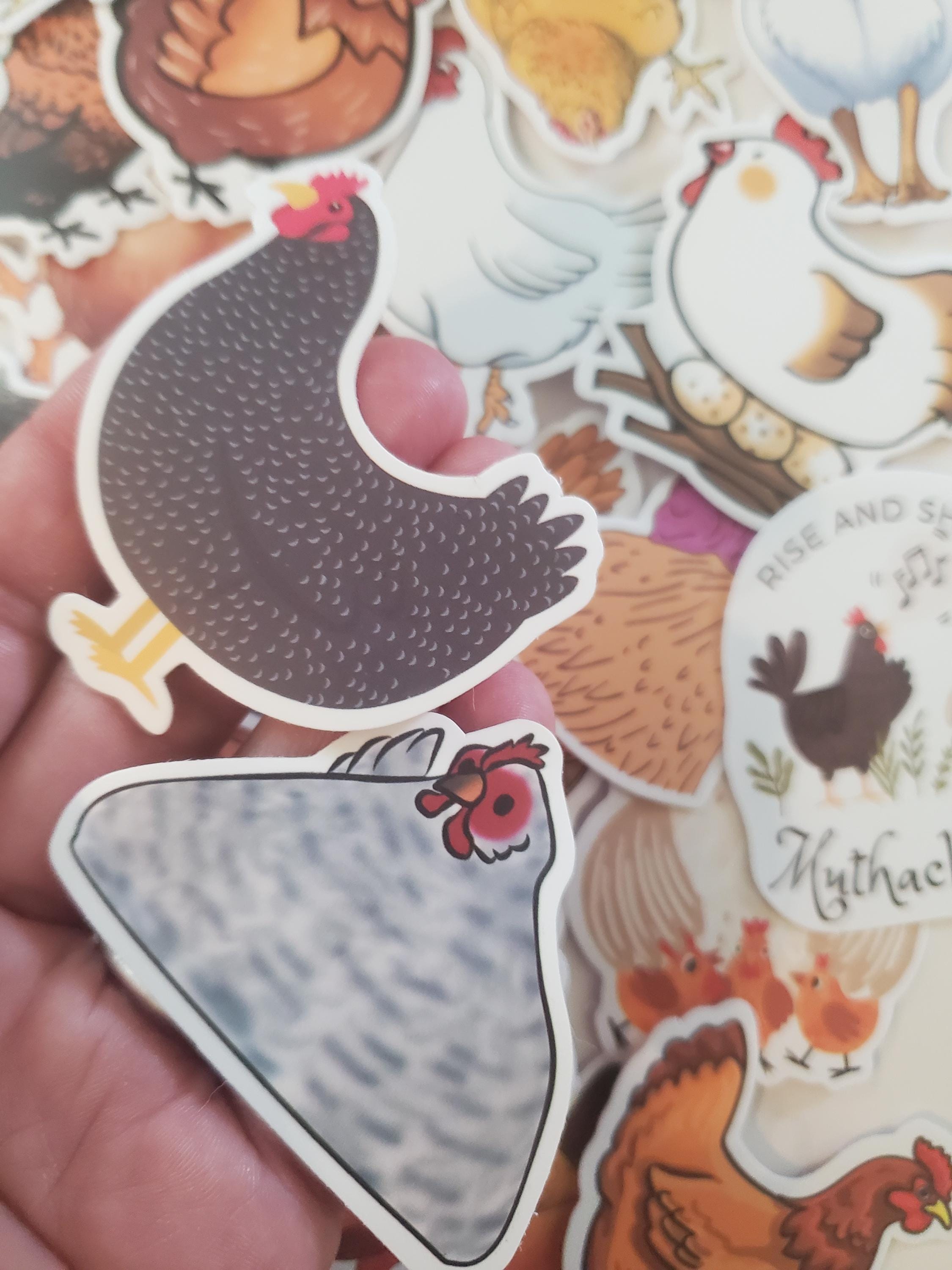 Chicken Stickers, Waterproof & UV Resistant, Farm Bird Stickers, Set of ...