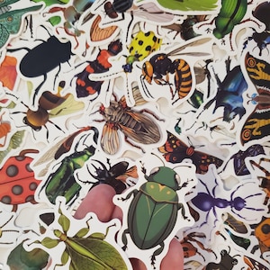 BUG Stickers, 15 PIECES, Set of Stickers, INSECT Sticker Set, uv resistant, Waterproof, Everyday Use, Bulk Pack, Colorful Bugs, Insects, bug