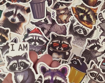May include: A collection of raccoon-themed stickers with various designs. Some stickers feature raccoons with sunglasses, holding pizza, or wearing Santa hats. One sticker reads "I AM FERAL". The stickers are colorful and whimsical.