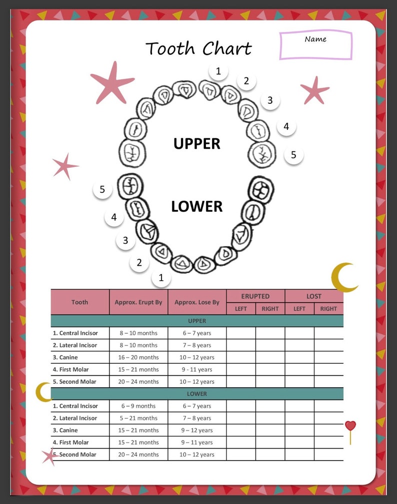 Small Printable Tooth Guide Printable Powerpoint Planner for Kids Health - Etsy