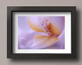 Flower Photography,Flowers Home Decor,Floral Picture Art,Floral Print Orchid,Orchid Photography Print,Wall Hanging,Home Accents