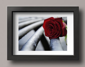 Flower Photography, Flowers Home Decor, Floral Picture Art, Floral Print Rose, Rose Photography Print, Red Wall Hanging, Red Home Accents