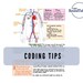 PICC Line Coding Cheat Sheet With Coding Tips (Instant Download) - Etsy