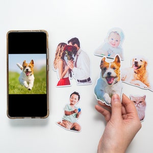 May include: A collection of colorful photo magnets featuring images of people, dogs, and a cat. The magnets are on a white surface.