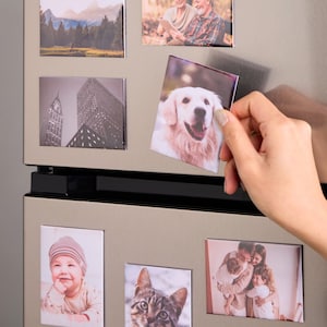 Custom Premium Fridge Photo Magnets Transform Pet, Family, & Moments into Fridge Magnets Occasional Motto Personalized Photo Magnets image 1