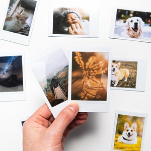 May include: A collection of Polaroid-style photographs featuring a cat, a baby, a dog, a flower, a building and a starry night sky.