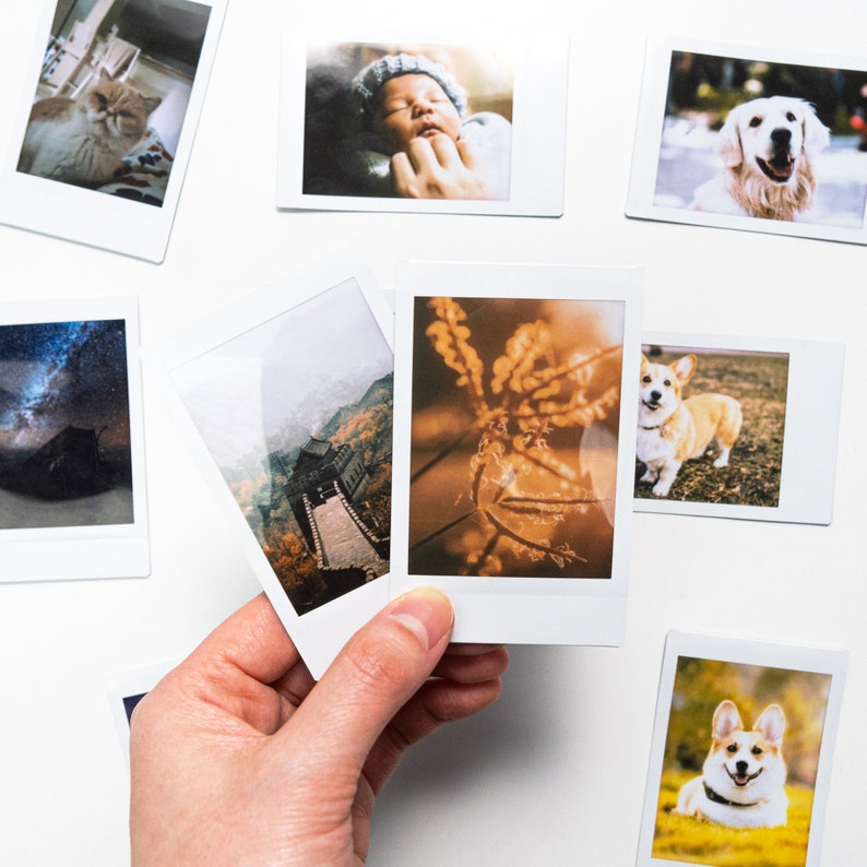 Print digital photos into instant photos Custom instant photo prints Turn your pet family and special moment to instant photos Bild 5