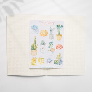 May include: A sheet of watercolor succulent stickers with the title "Blissful Spring Watercolor Succulents" and the text "Occasional Matte" at the bottom. The stickers feature various succulents in pots and jars, with colors including green, yellow, orange, and pink.