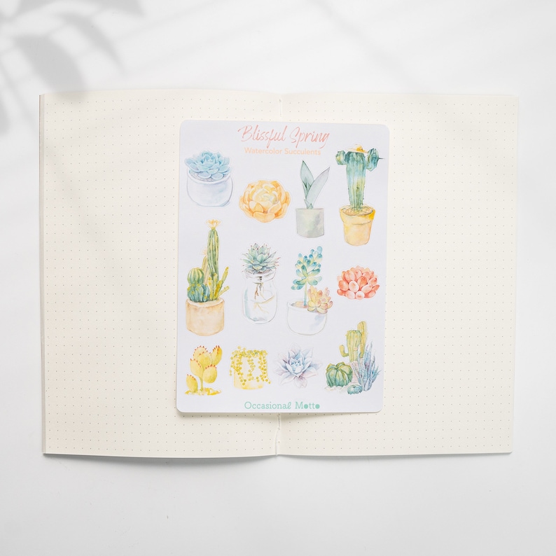 May include: A sheet of watercolor succulent stickers with the title "Blissful Spring Watercolor Succulents" and the text "Occasional Matte" at the bottom. The stickers feature various succulents in pots and jars, with colors including green, yellow, orange, and pink.